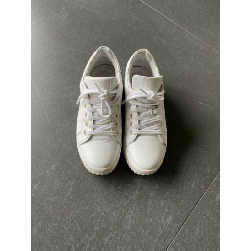 Shoe Colate sneakers maat 37 wit