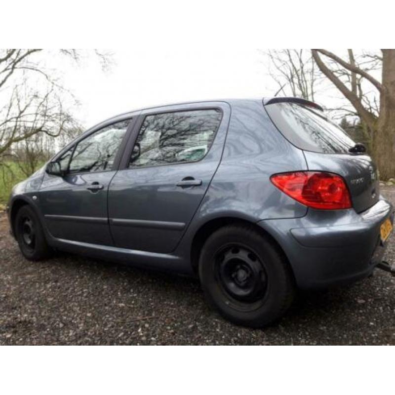 Peugeot 307 1.6 16V 5DR 2007 Grijs