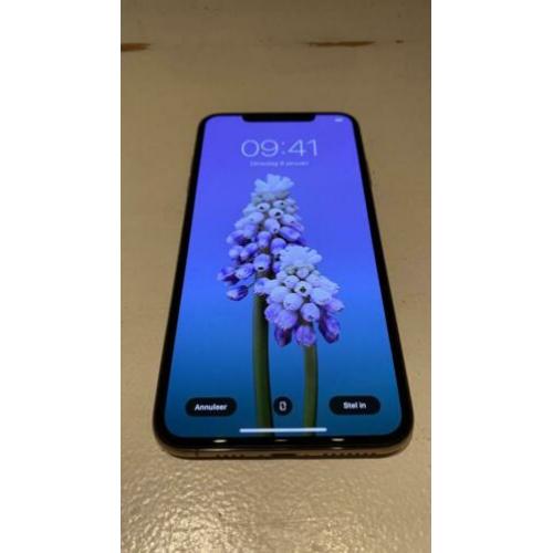 iPhone XS Max gold 256GB