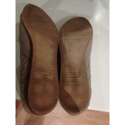 Toms 36,5