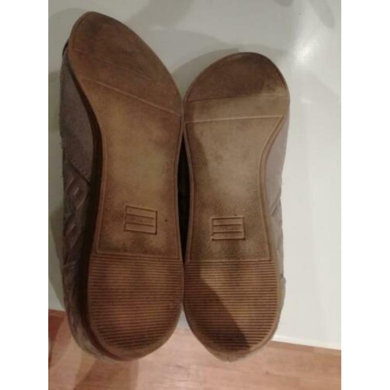 Toms 36,5