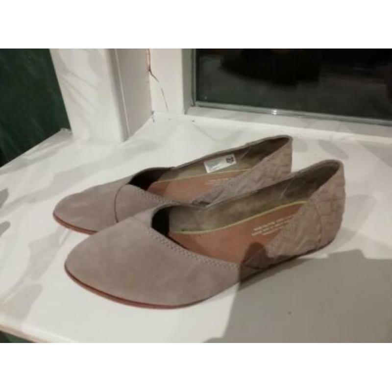 Toms 36,5