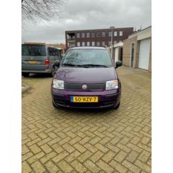 Fiat Panda 1.2 2011 Paars