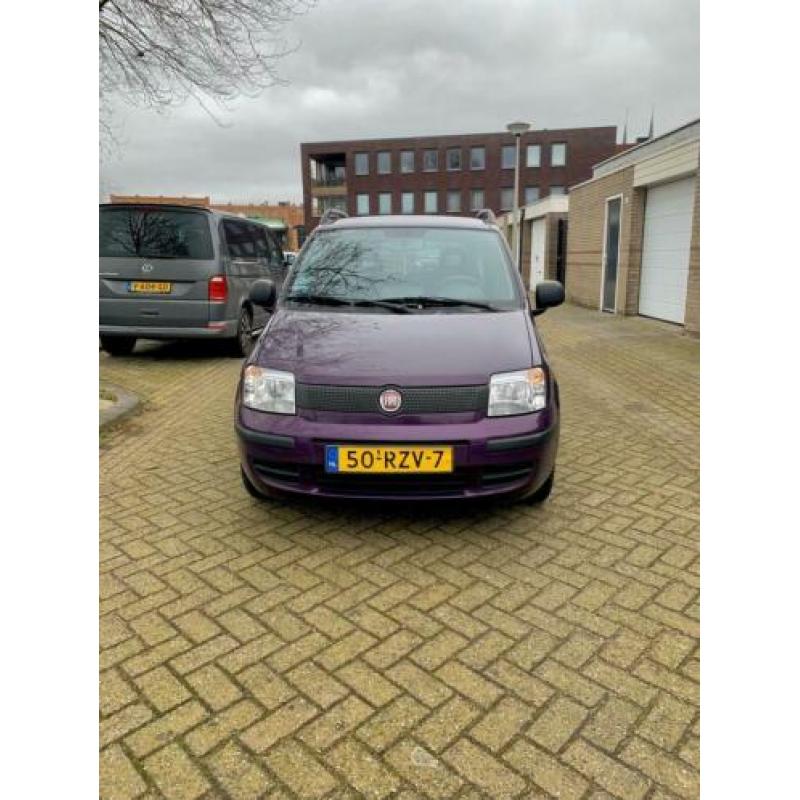 Fiat Panda 1.2 2011 Paars