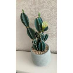 Grote (nep) cactus van Xenos, 42 cm, nieuw!