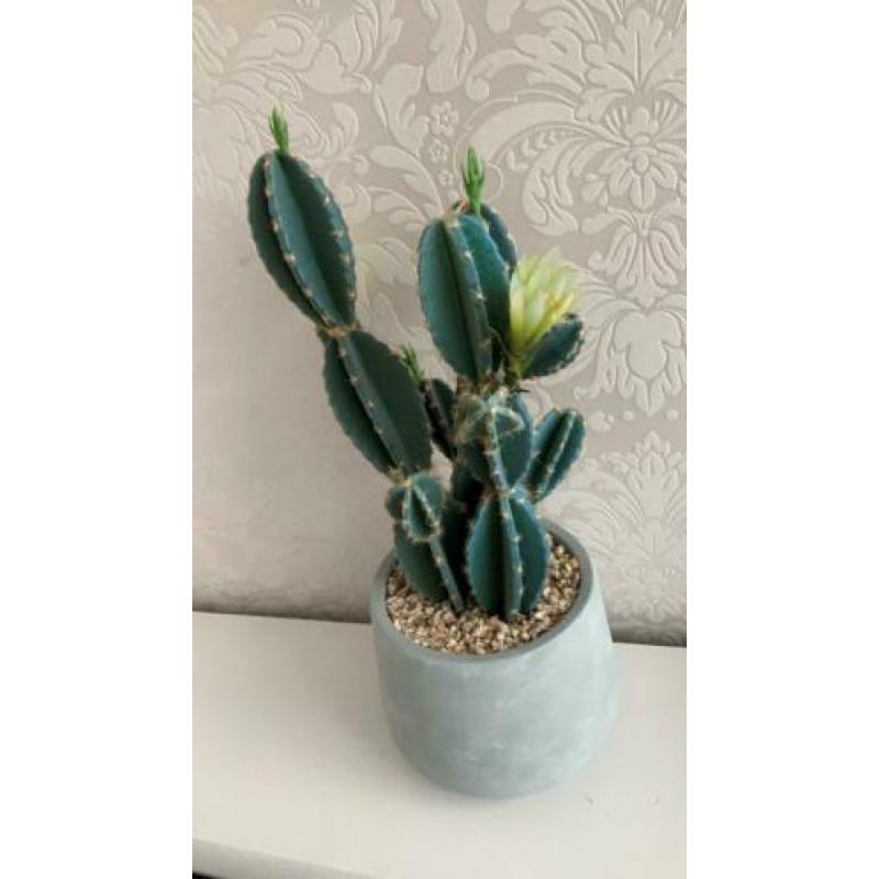 Grote (nep) cactus van Xenos, 42 cm, nieuw!