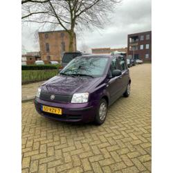 Fiat Panda 1.2 2011 Paars