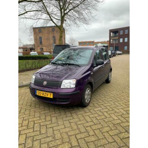 Fiat Panda 1.2 2011 Paars