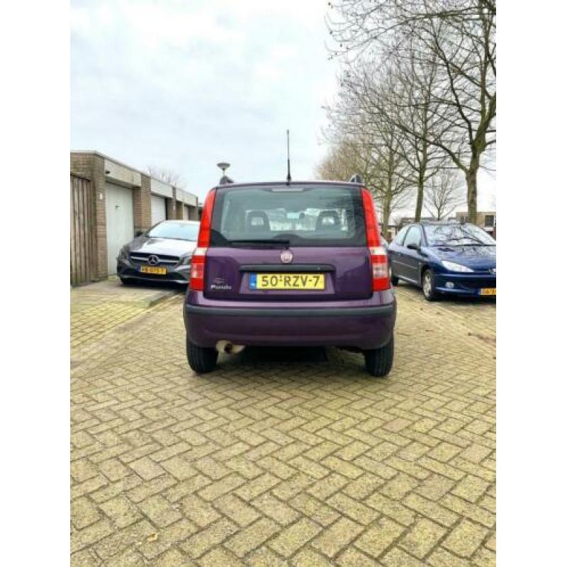 Fiat Panda 1.2 2011 Paars