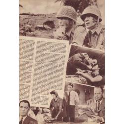 Filmprogramma:The Man in the Grey Flannel Suit/ Gregory Peck