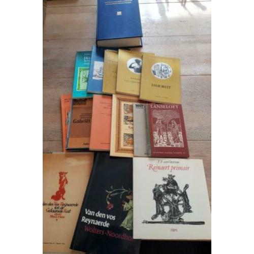 Middelnederlandse literaire werken