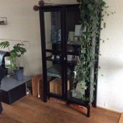 Vitrinekast, glas/hout kleur zwart
