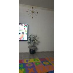 Vazen met bloomem