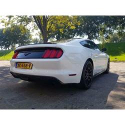Ford Mustang Convertible 2.3 EcoBoost LEDER/AUTOMAAT/ 315 PK