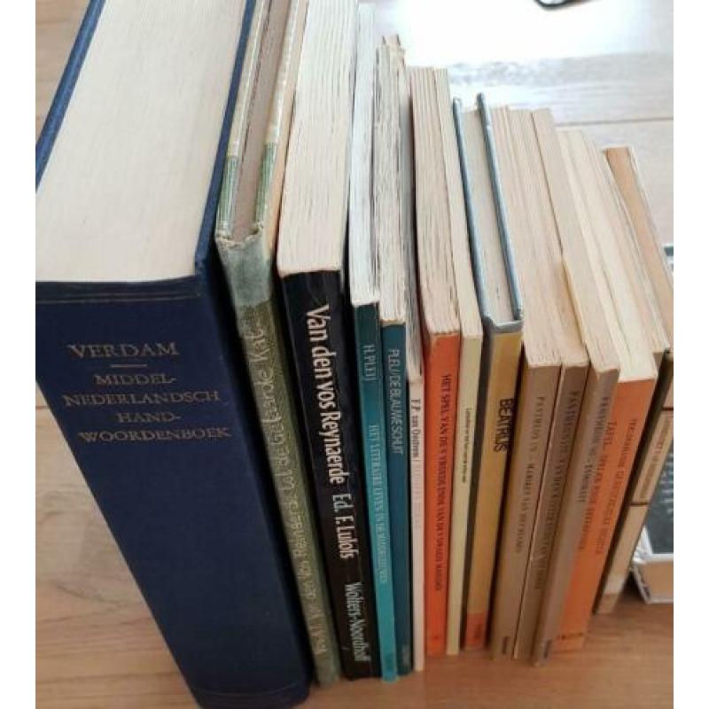 Middelnederlandse literaire werken