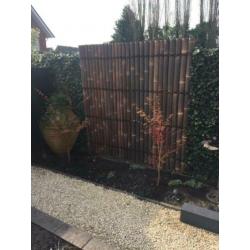 BAMBOE BAMBOO BAMBUS FENCE BAMBOU бамбук BAMBUSZ BAMBÙ BAMBO