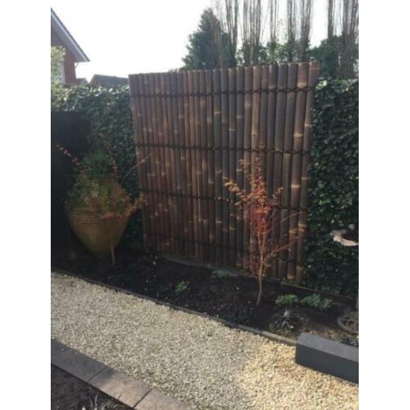 BAMBOE BAMBOO BAMBUS FENCE BAMBOU бамбук BAMBUSZ BAMBÙ BAMBO