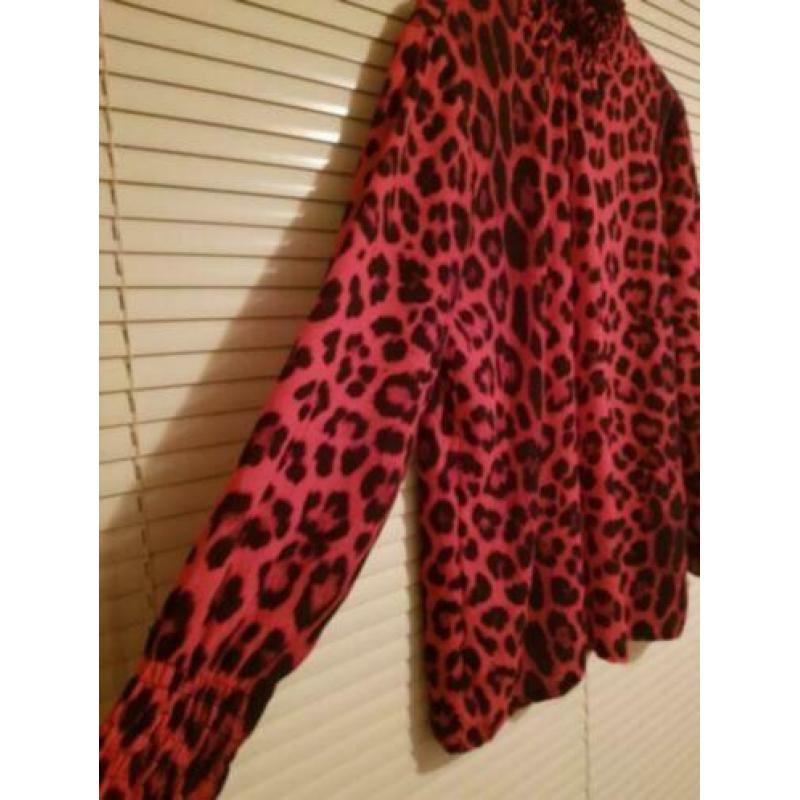 Z.G.A.N panterprint roze blouse/top met elastische kol