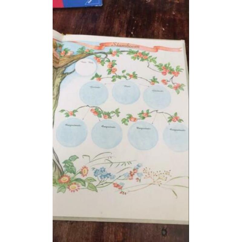 Onze baby nostalgisch babyalbum