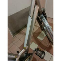 Elektrische Sparta fiets