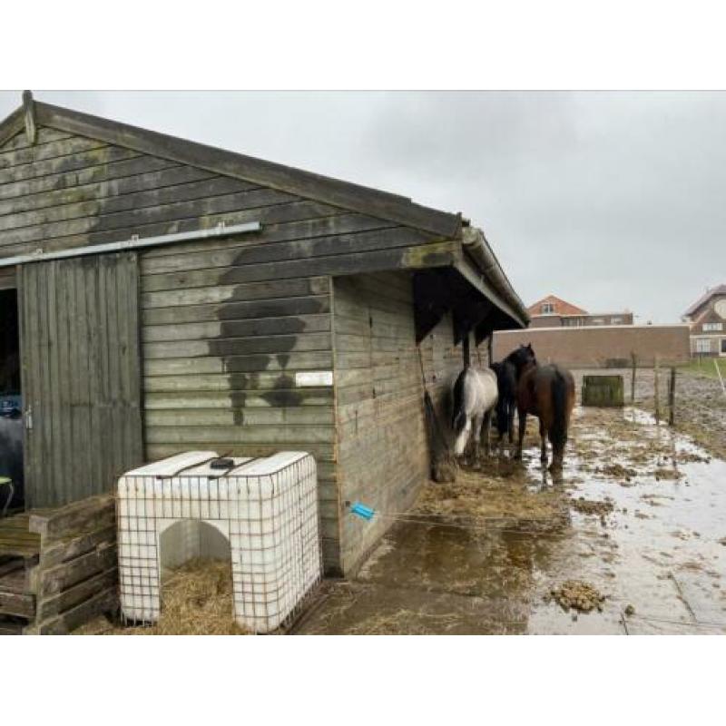 Paardenstal, schuur, opslag, paardenbox