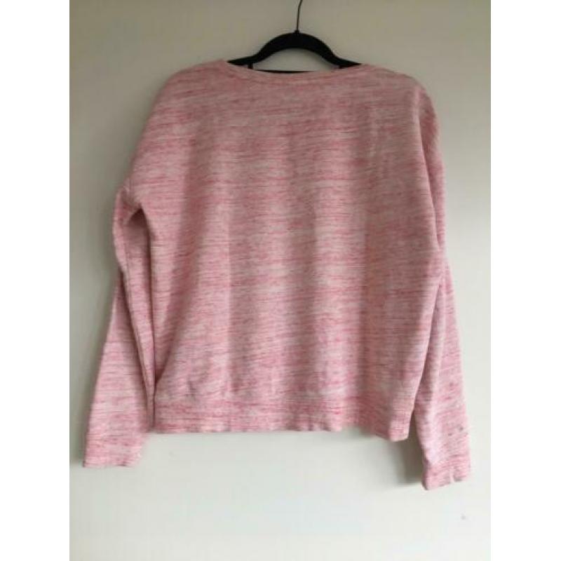 Scotch & Soda Roze Trui S