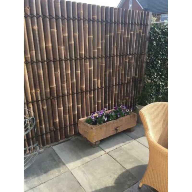 BAMBOE BAMBOO BAMBUS FENCE BAMBOU бамбук BAMBUSZ BAMBÙ BAMBO