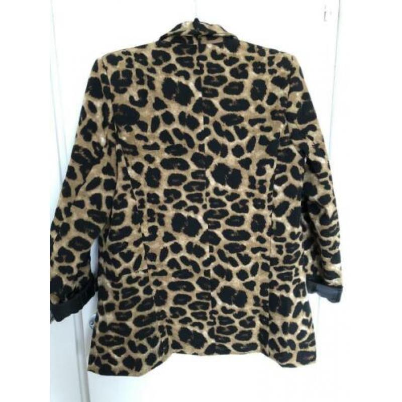 Blazer L/XL