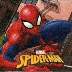 Spiderman Kussen - Diverse Uitvoeringen Spider-Man