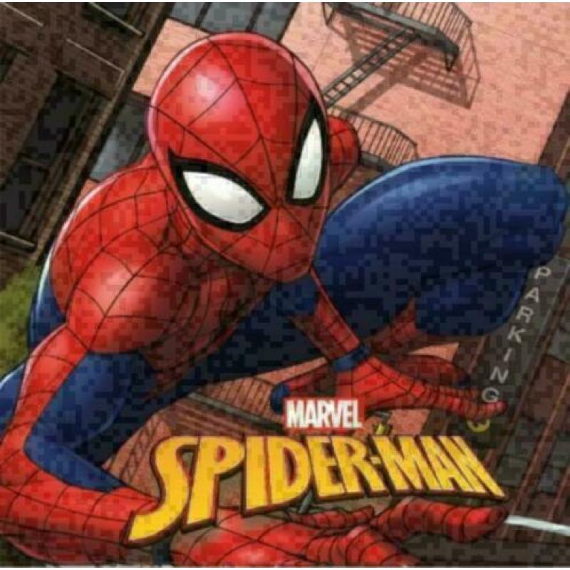 Spiderman Kussen - Diverse Uitvoeringen Spider-Man