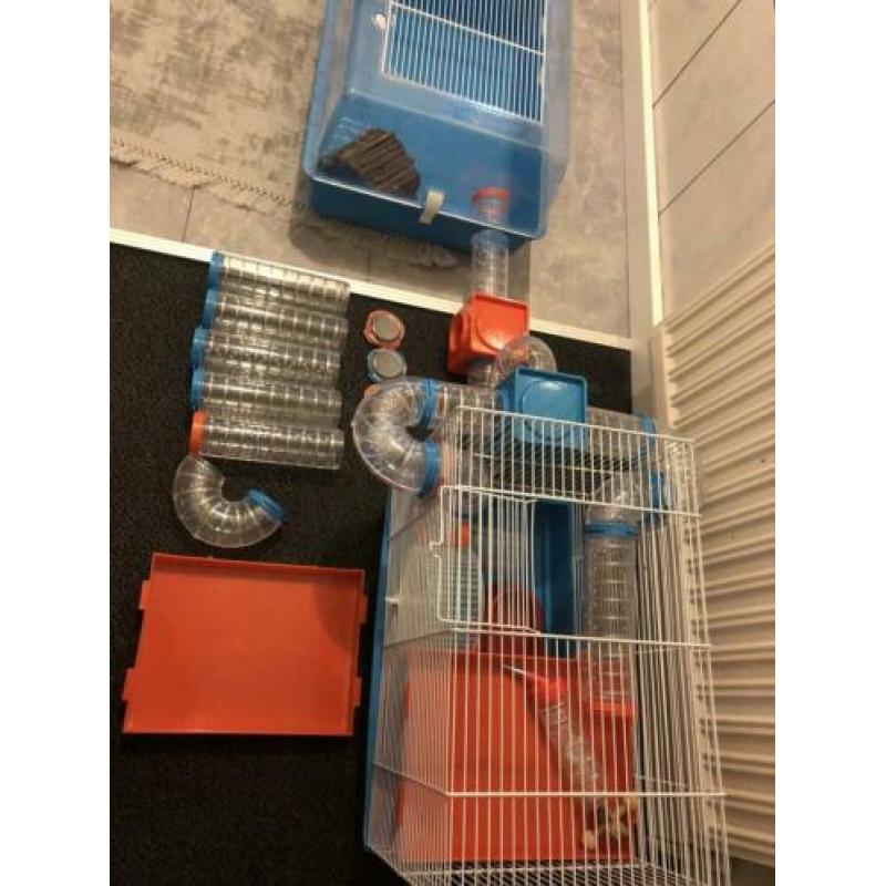 Hamsterkooien