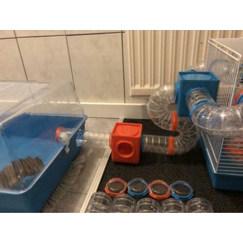 Hamsterkooien