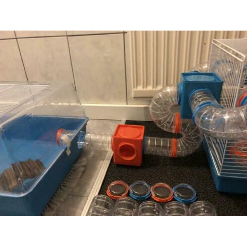 Hamsterkooien