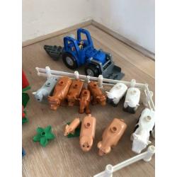Grote Duplo boerderij 4665