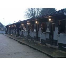 Stal Oostzaan binnenkort enkele boxen beschikbaar...