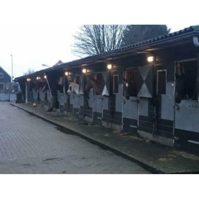 Stal Oostzaan binnenkort enkele boxen beschikbaar...