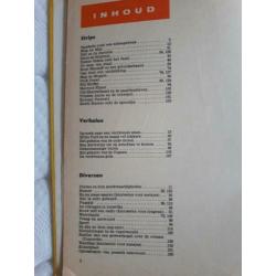 Plezier met Sjors vakantieboek 1964