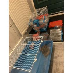 Hamsterkooien
