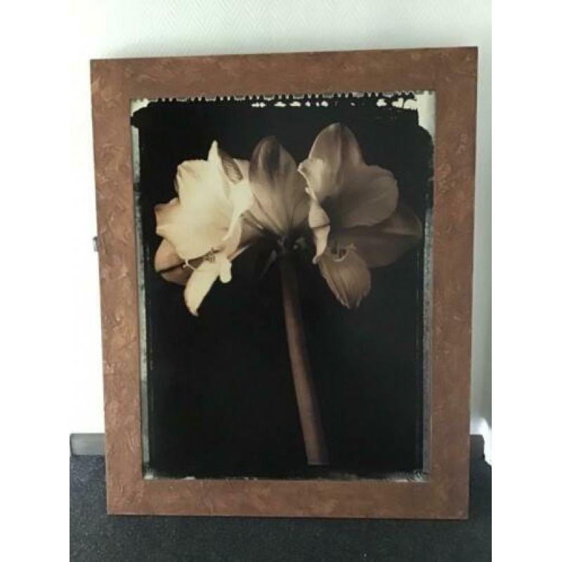 Modern schilderij amaryllis