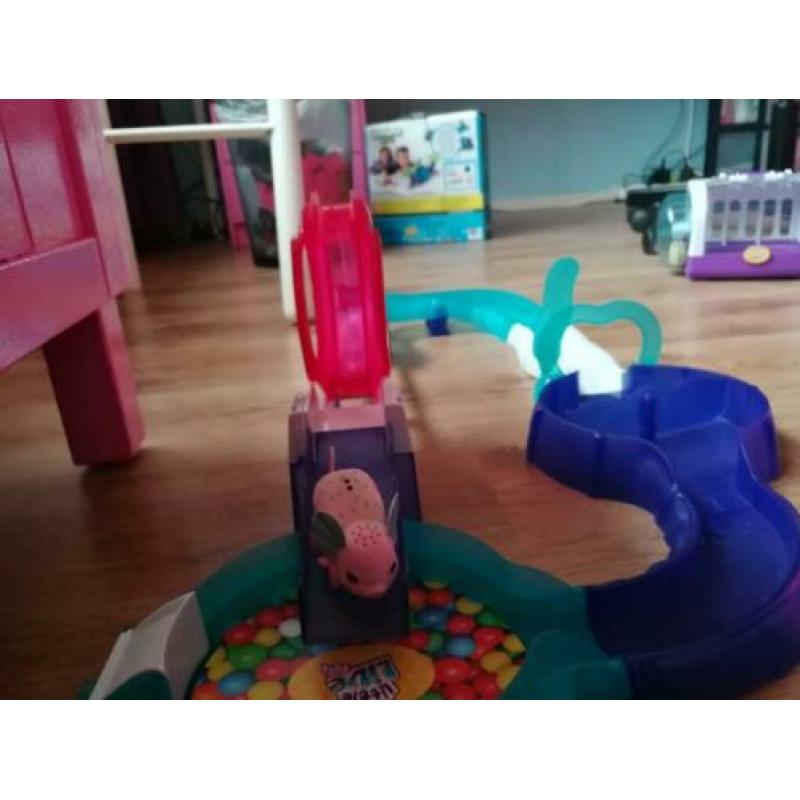 Little live pets muisjes