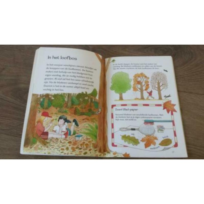 Leer alles over Het bos. (kleuters)