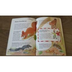 Leer alles over Het bos. (kleuters)