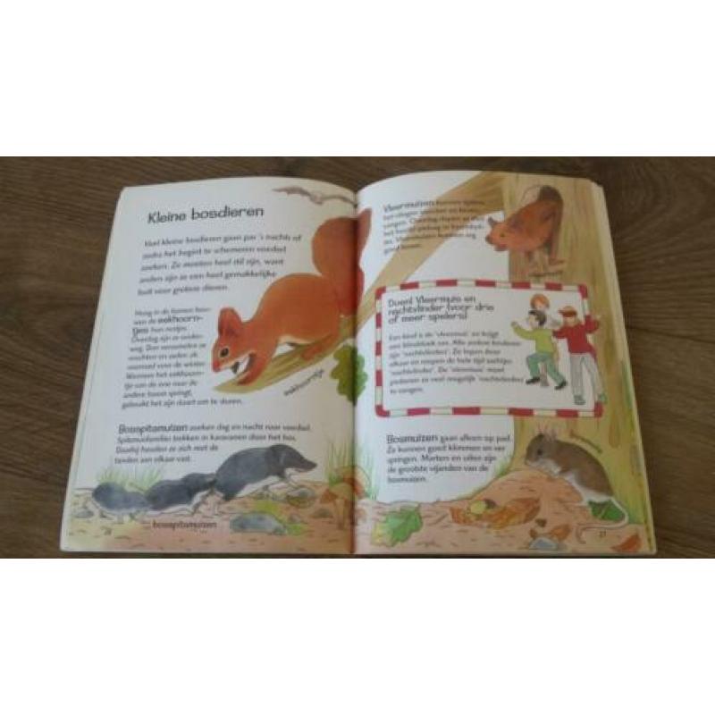 Leer alles over Het bos. (kleuters)