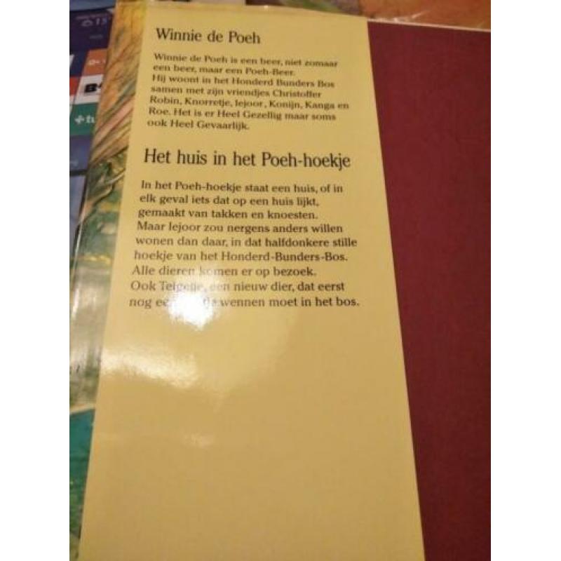 A.A.Milne, de wereld van poeh, winnie de poeh het huis in he