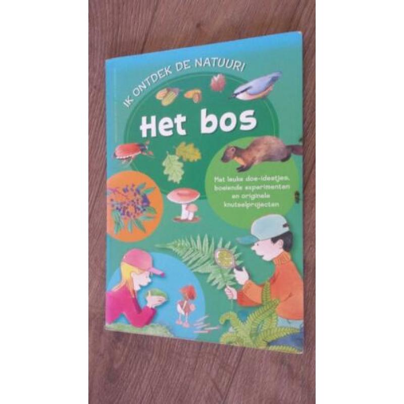 Leer alles over Het bos. (kleuters)