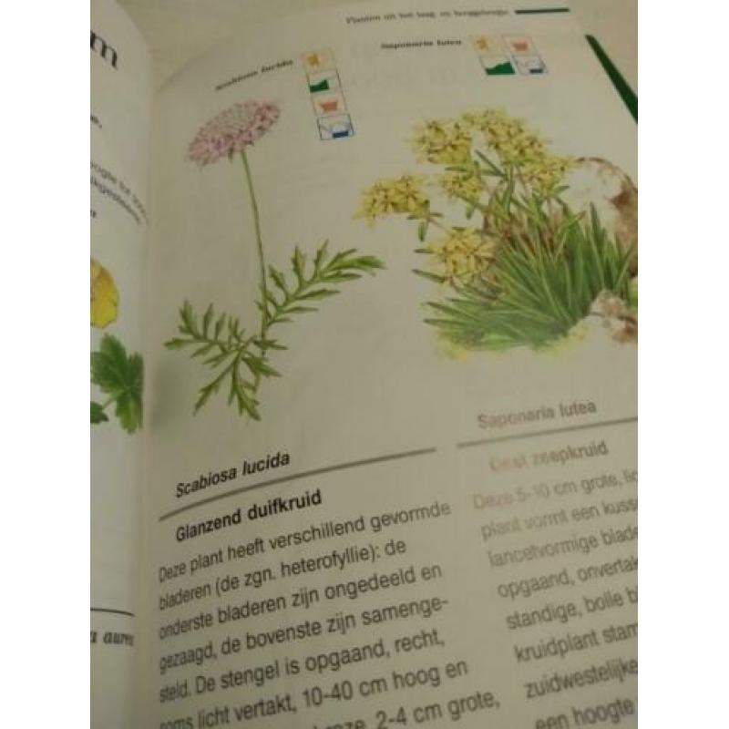 Boek tuinplantengids rotsplanten