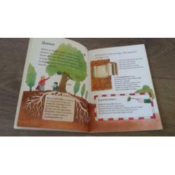 Leer alles over Het bos. (kleuters)