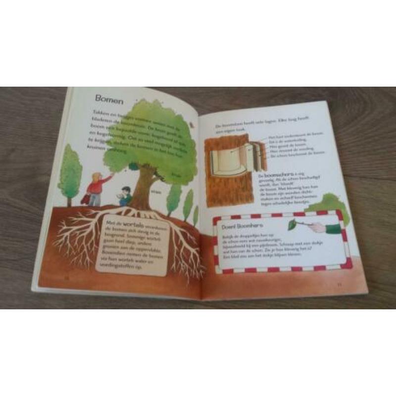 Leer alles over Het bos. (kleuters)