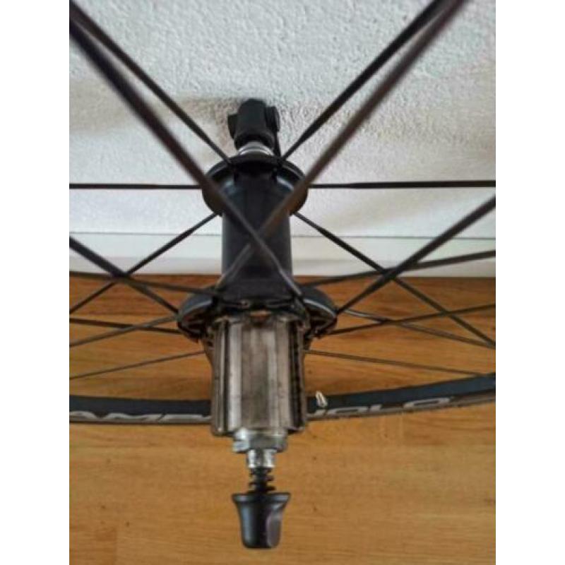 Campagnolo Zonda wielset