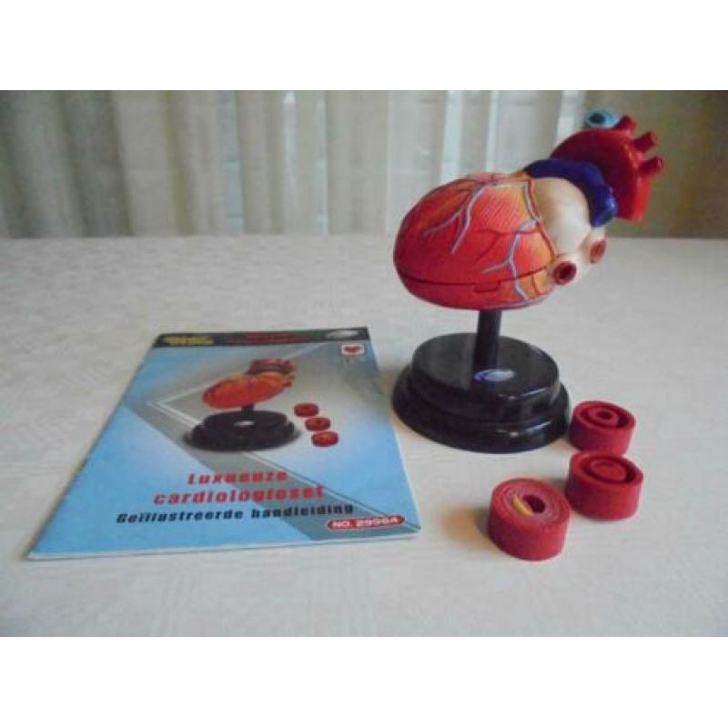Cardiologie set Humane wetenschappen